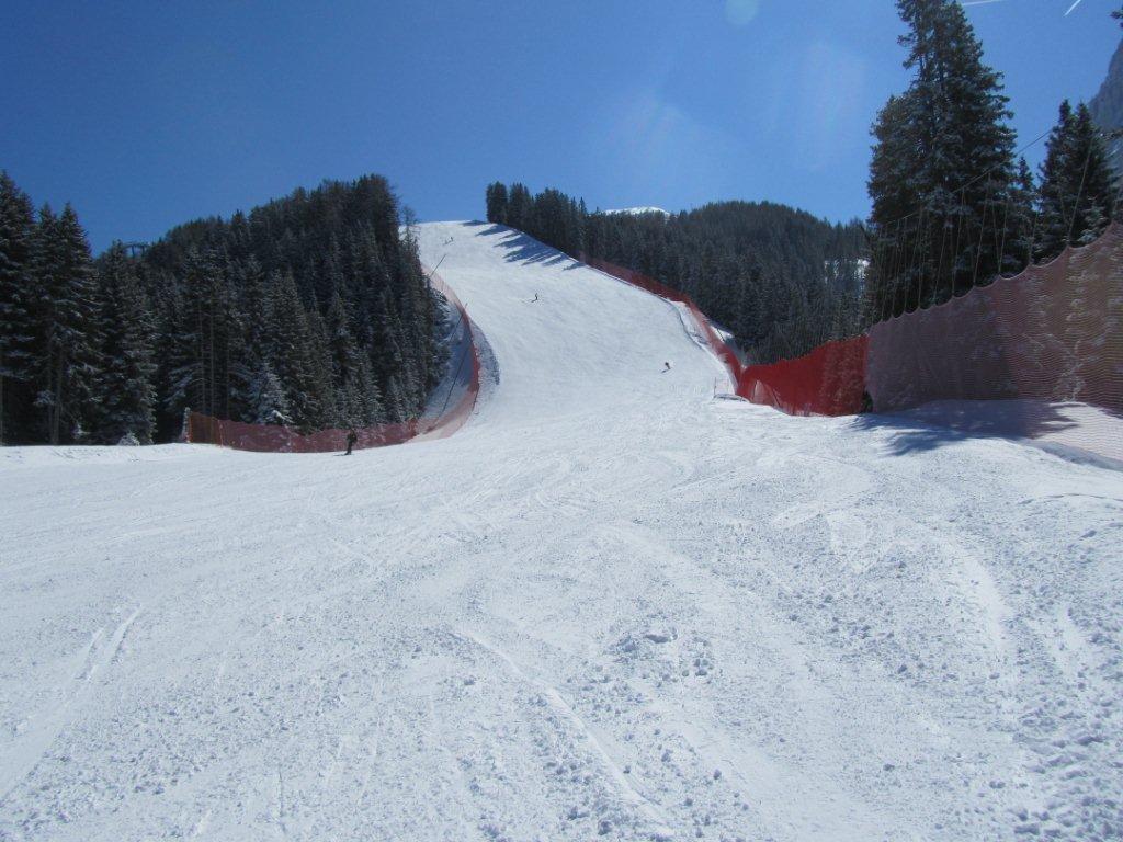 75333-marzo-20-2012-7.jpg