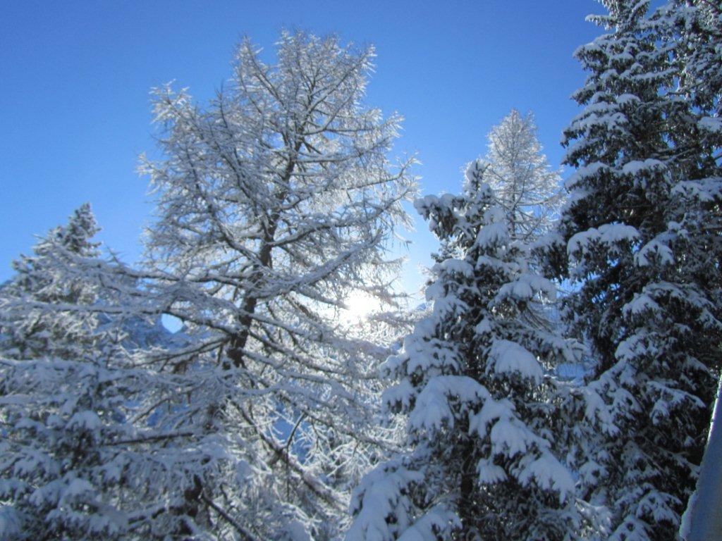 76561-cancellare-5.jpg