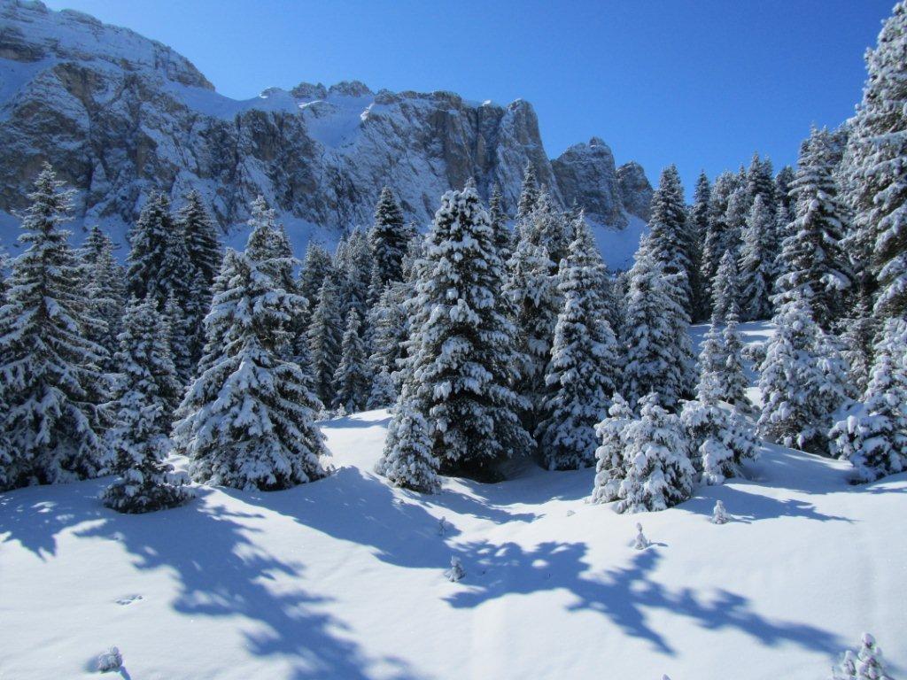 76564-cancellare-8.jpg