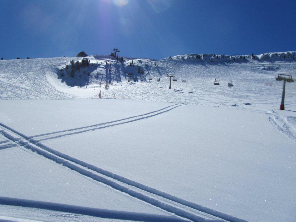 76573-cancellare-17.jpg