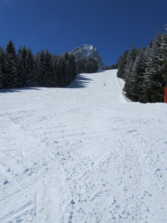 76577-cancellare-21.jpg