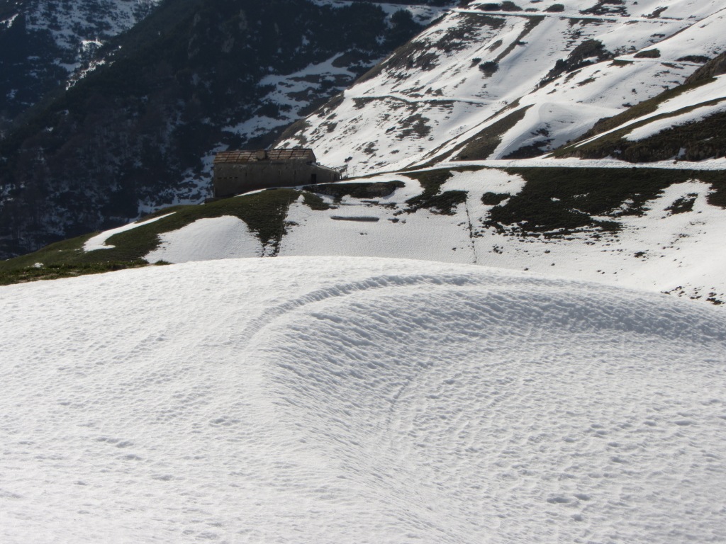 77456-img1368.jpg