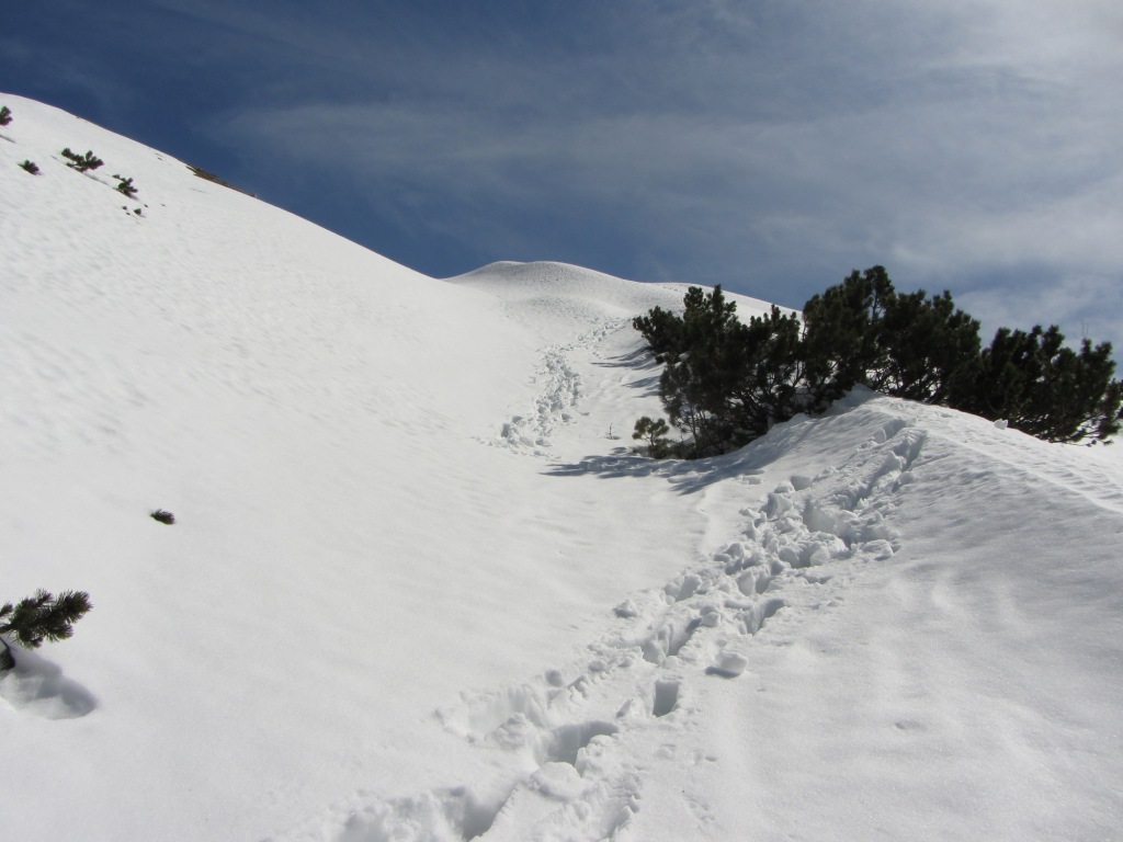 77457-copia-di-img1349.jpg