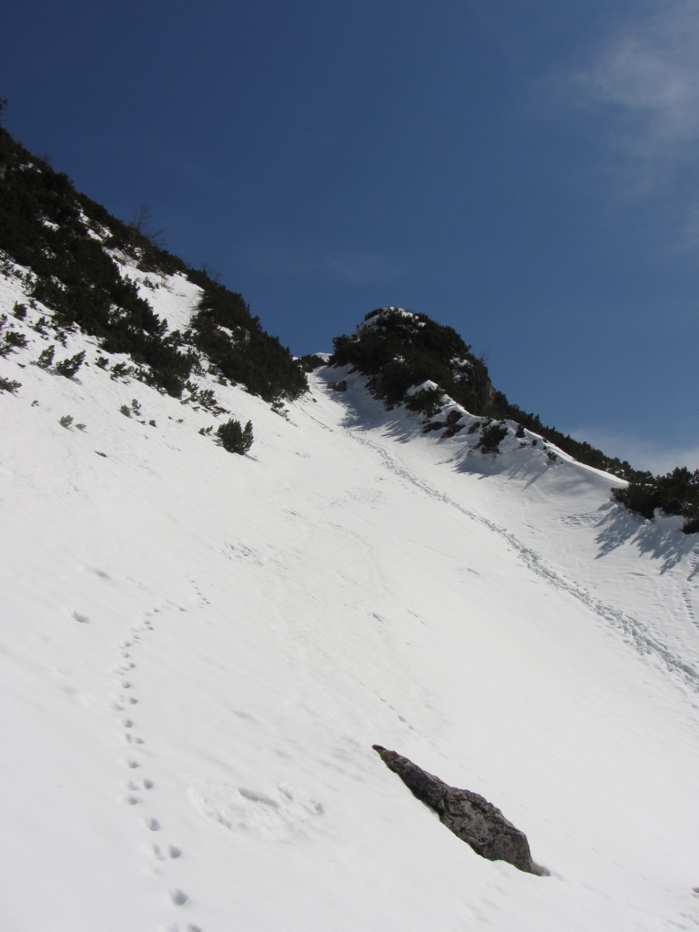 77458-copia-di-img1348.jpg