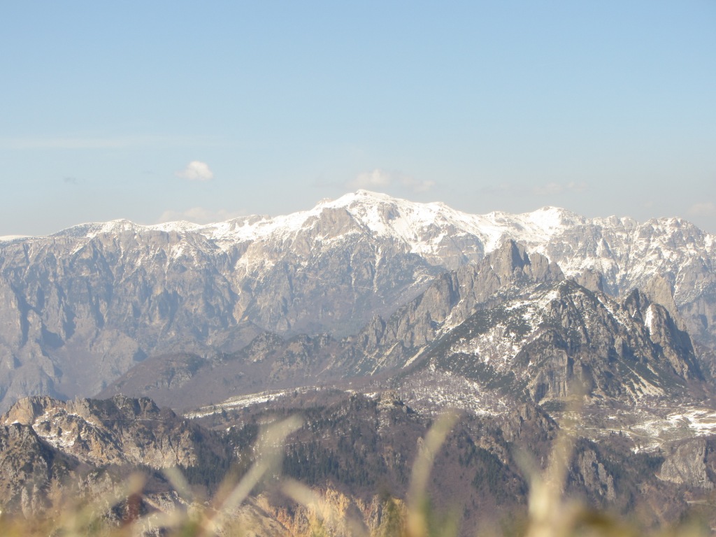 77461-img1356.jpg