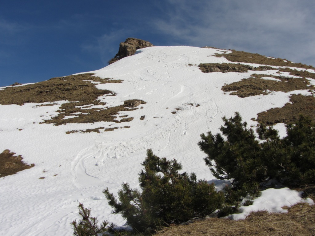 77464-copia-di-img1363.jpg