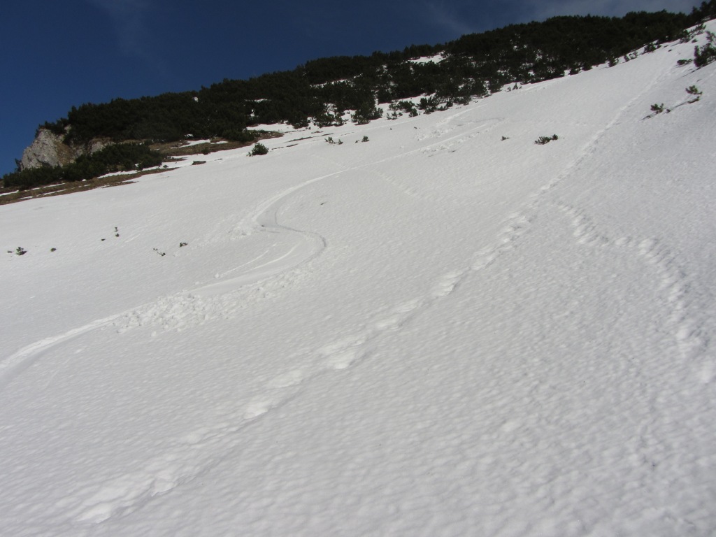77465-copia-di-img1365.jpg