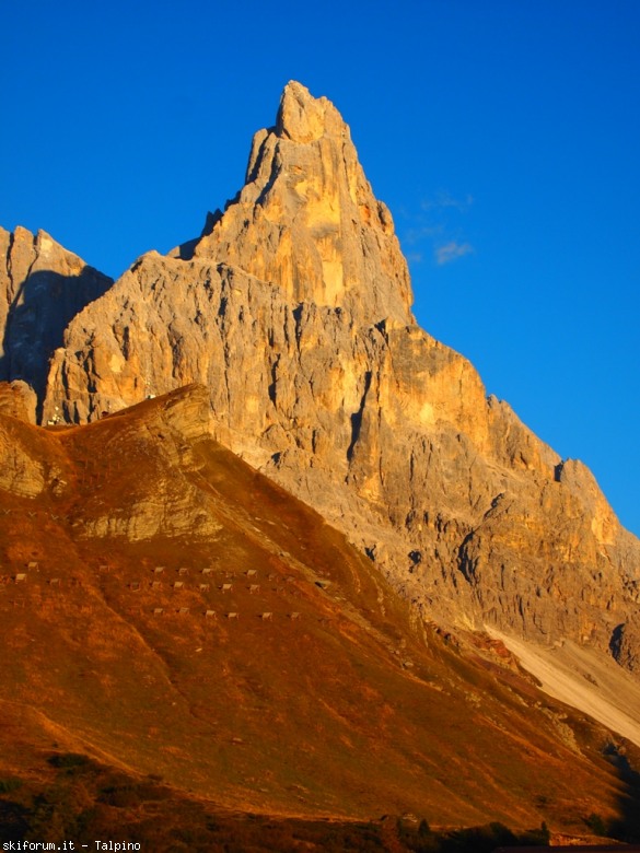 77596-pa043358.jpg