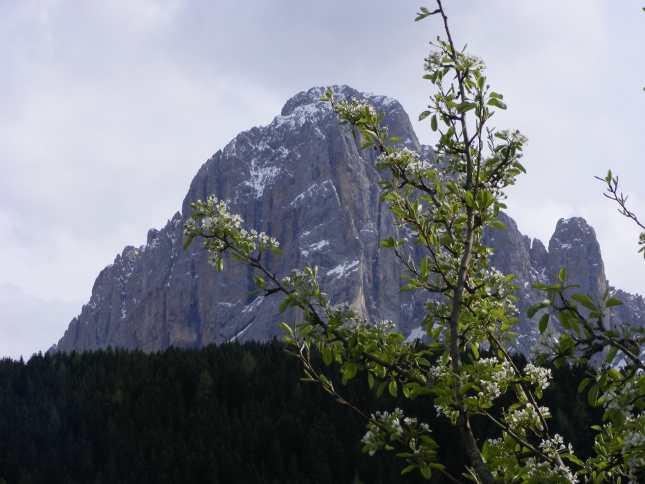 77995-val-chedul-primaverain-val-gardena13-15-magio-2012-010.jpg