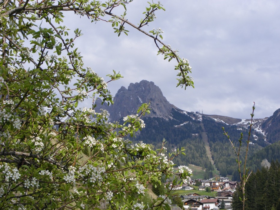 77996-val-chedul-primaverain-val-gardena13-15-magio-2012-013.jpg