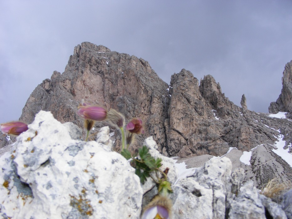 78018-val-chedul-primaverain-val-gardena13-15-magio-2012-029.jpg