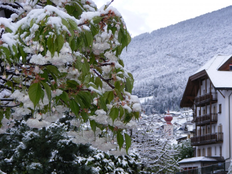 78021-val-chedul-primaverain-val-gardena13-15-magio-2012-037.jpg