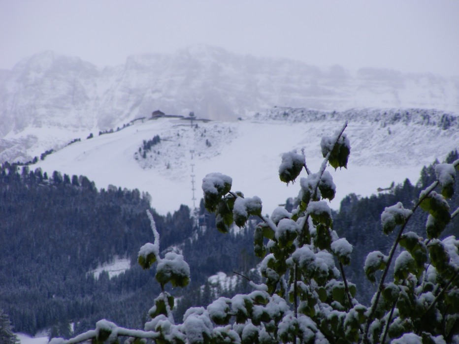 78023-val-chedul-primaverain-val-gardena13-15-magio-2012-039.jpg