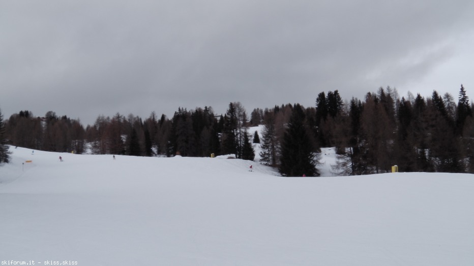 78333-imga0745.jpg