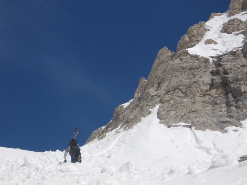 7845-forcella-fanis.jpg