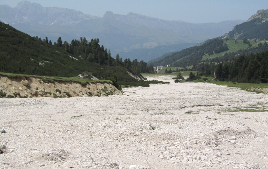 78992-1-lulio-2012-045.jpg