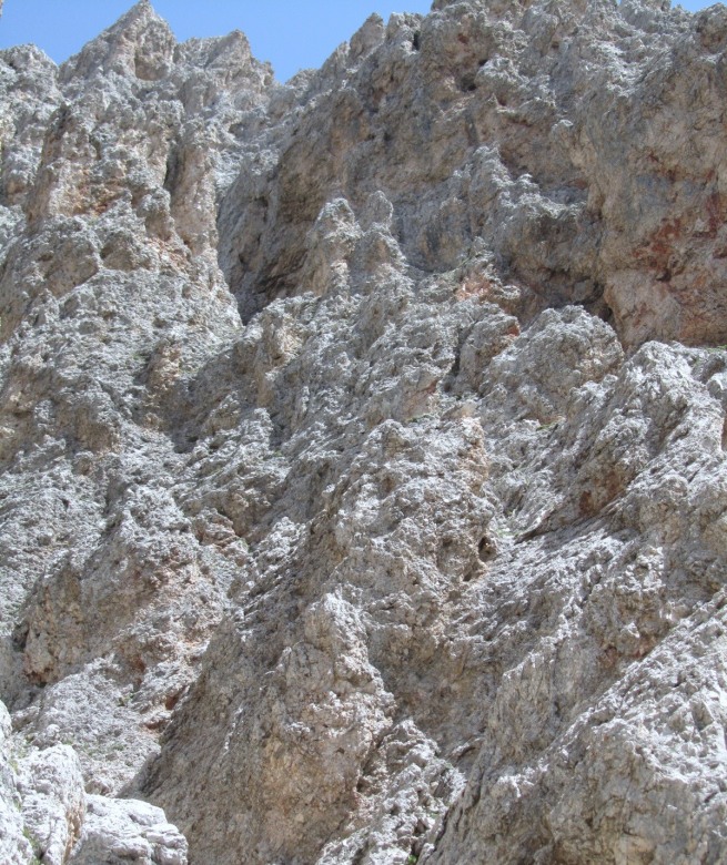 79058-1-lulio-2012-040.jpg