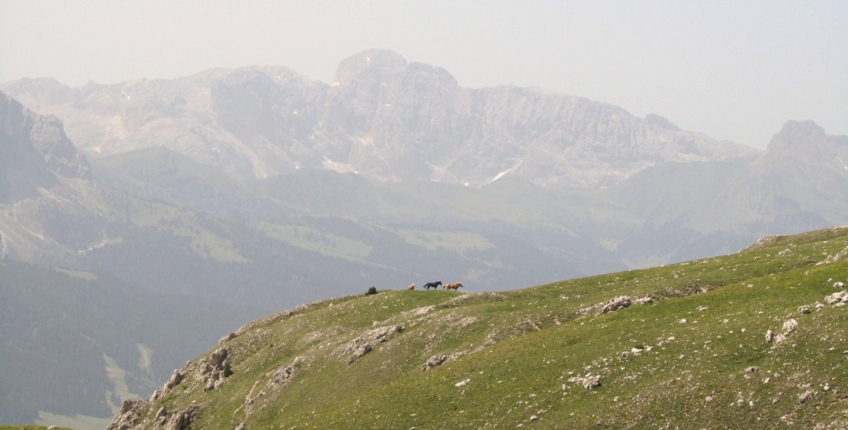 79061-1-lulio-2012-044.jpg