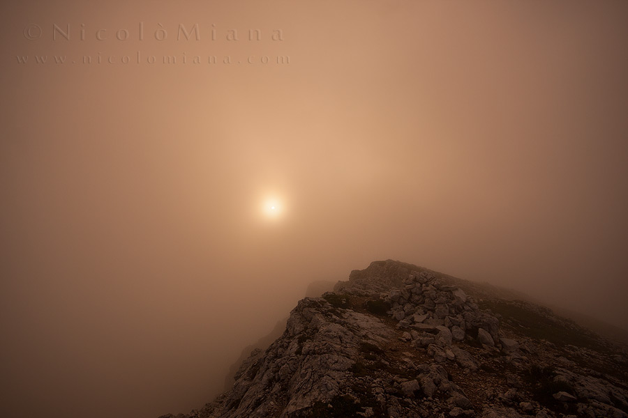 79376-nebbia.jpg