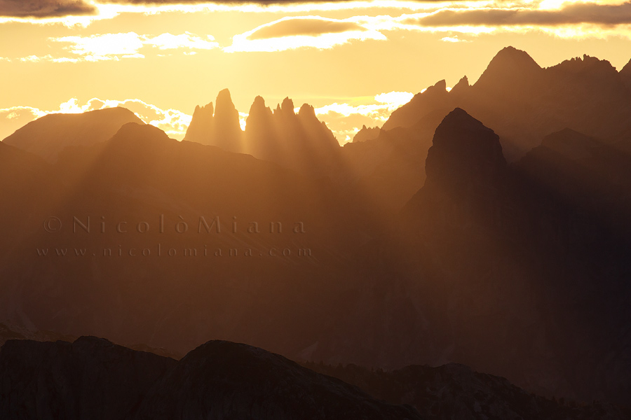 79381-croda-negra-185.jpg