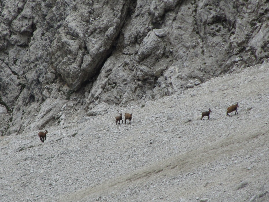 79488-montagna-25-luglio-2012-052.jpg