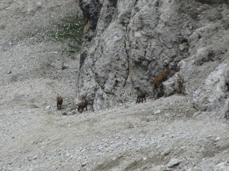 79489-montagna-25-luglio-2012-054.jpg