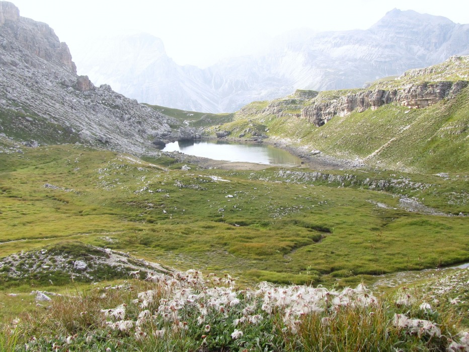 80225-zeup-23-agosto-2012-020.jpg