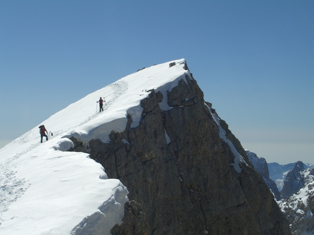 8165-cresta-bureloni.jpg