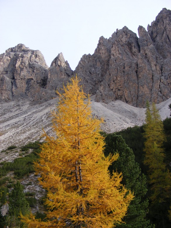 81769-merano-ottobre-2012-8.10.12-val-lietres-chedul-lago-crespeina-038.jpg