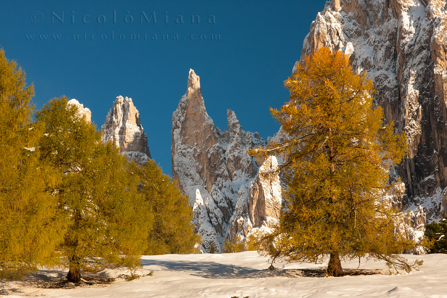 82184-torri-del-vajolet-autunno.jpg