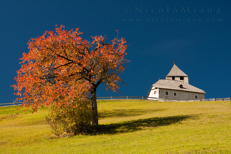 82438-ciastel-tor.jpg