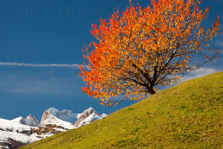 82442-marmolada-autunno.jpg