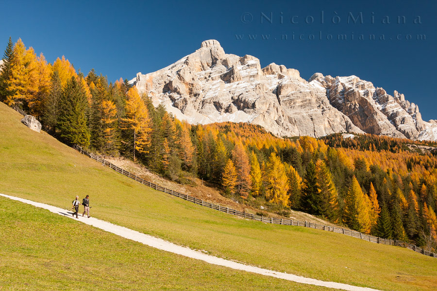 82444-autunno-alta-badia.jpg