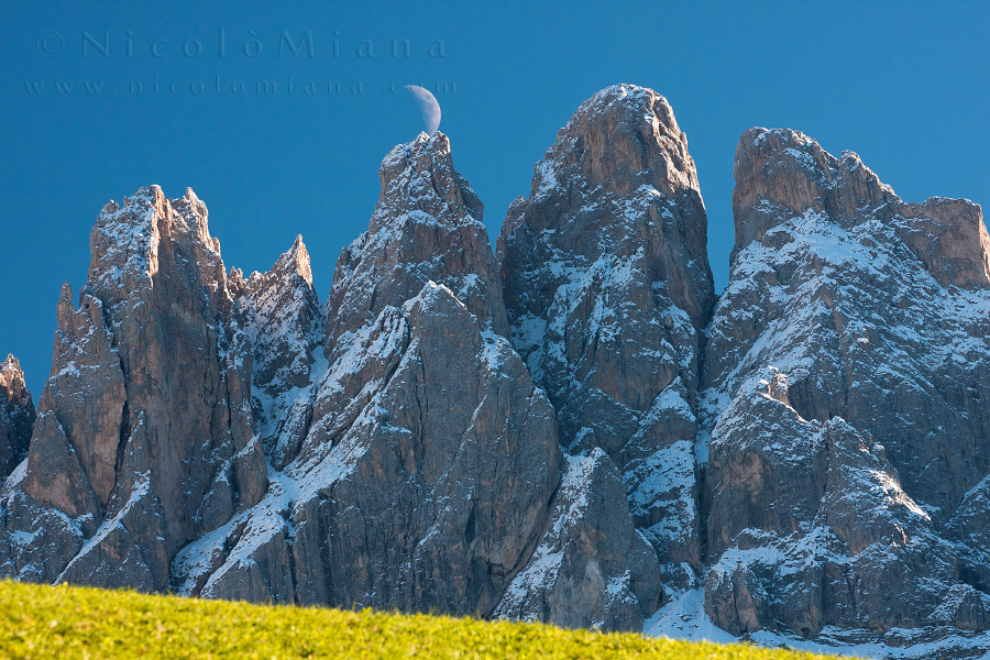 82448-luna-gioca-odle.jpg