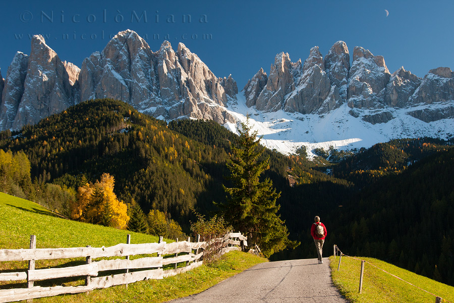 82449-odle-val-di-funes.jpg