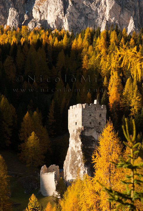 82451-andraz-autunno.jpg