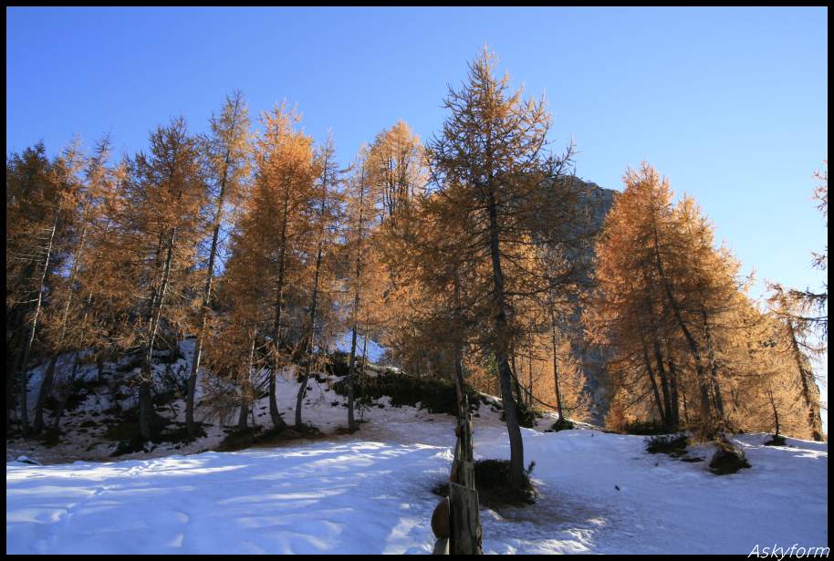 82484-autunno-in-dolomiti-20-21-ottobre-2012-62.jpg