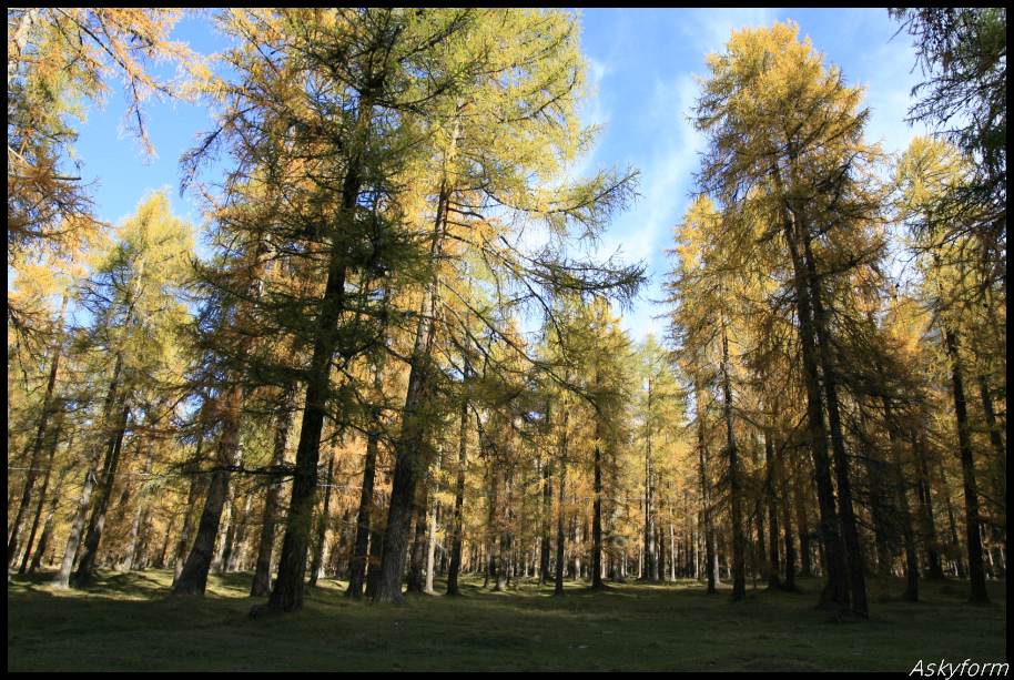 82562-autunno-in-dolomiti-20-21-ottobre-2012-132.jpg