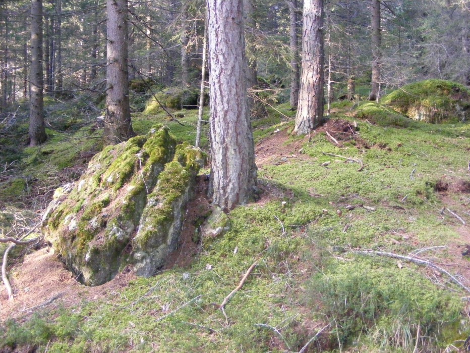 83040-via-alta-vg-9.10.12-023.jpg