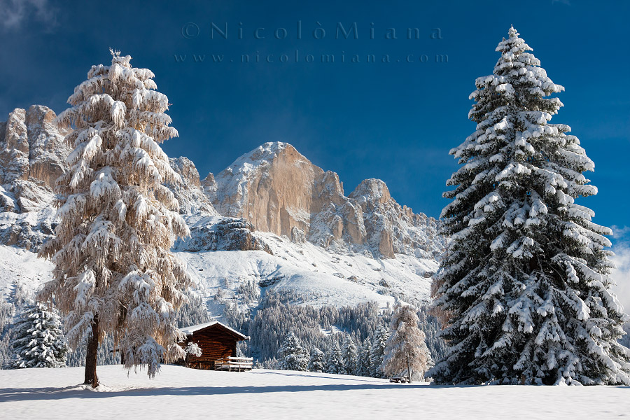 83300-catinaccio-neve.jpg