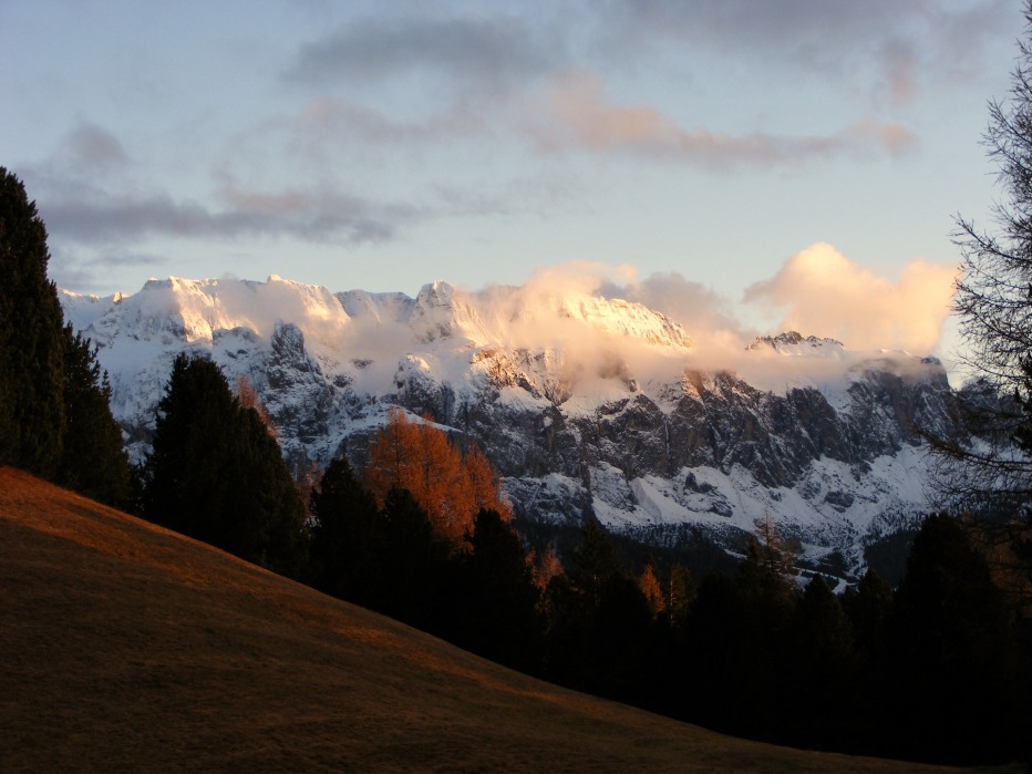 84360-stevia-13.11.12-024.jpg