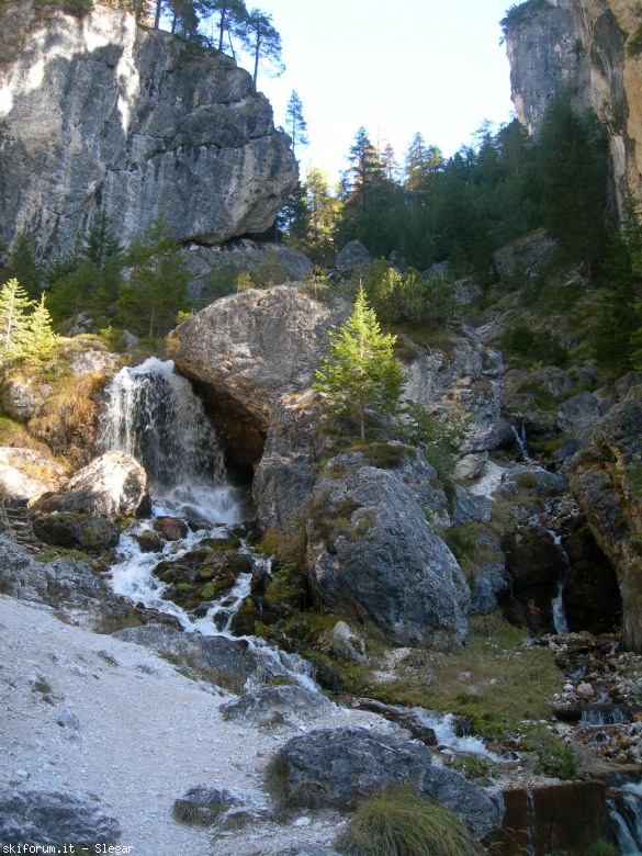 85032-dscn6761.jpg