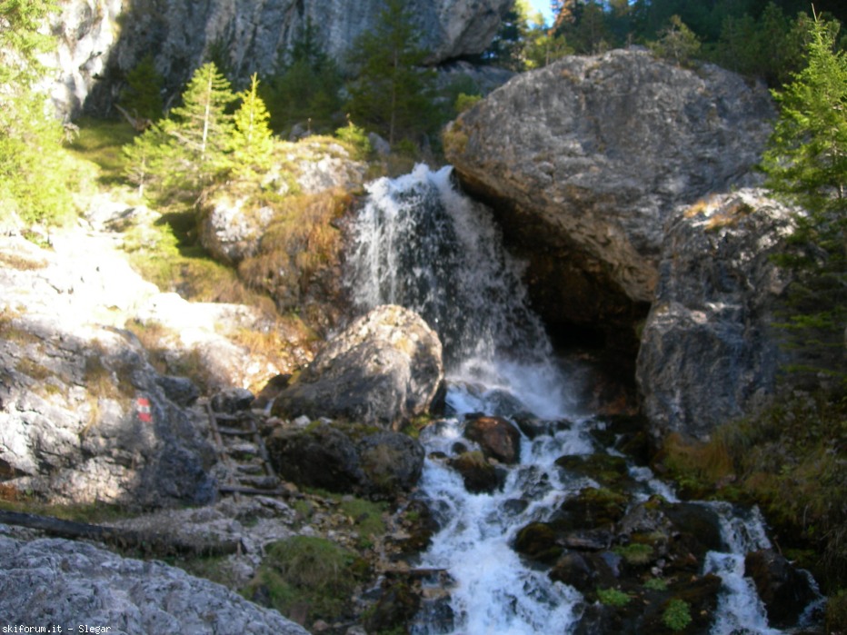 85033-dscn6764.jpg