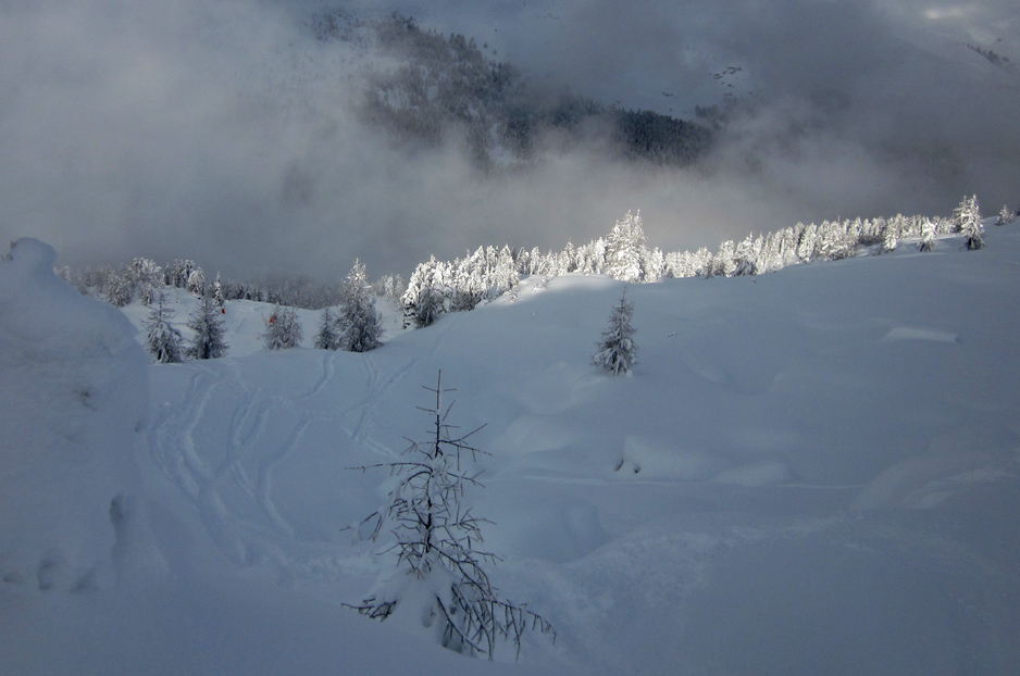 85329-lamadiluce.jpg