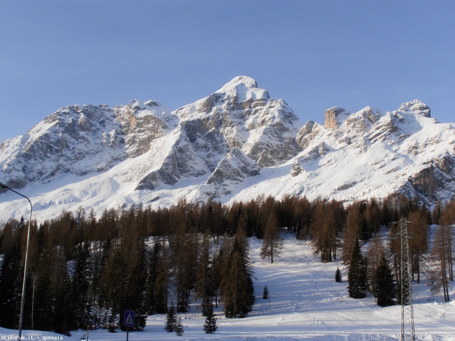 87244-pc200044.jpg