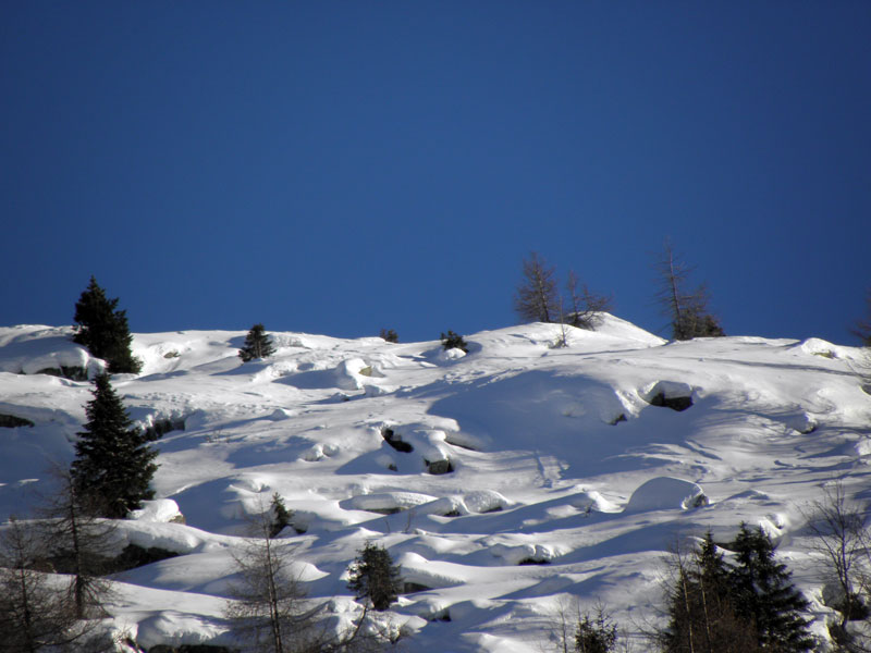 89411-rrll137.jpg