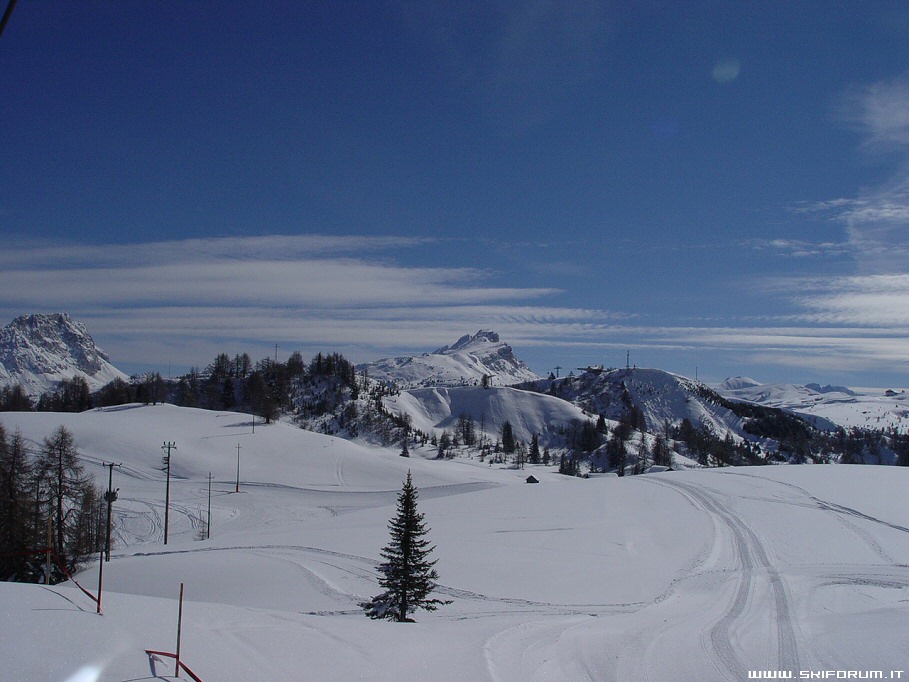 8953-wlf-dolomiti.neve.foto.jpg