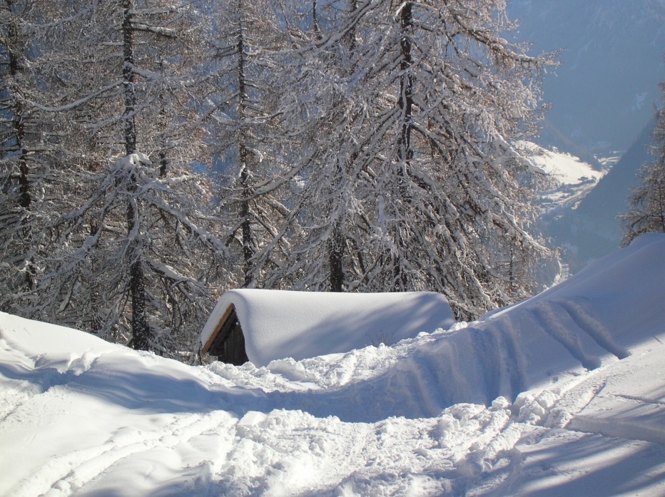 90846-dscn0295001.jpg
