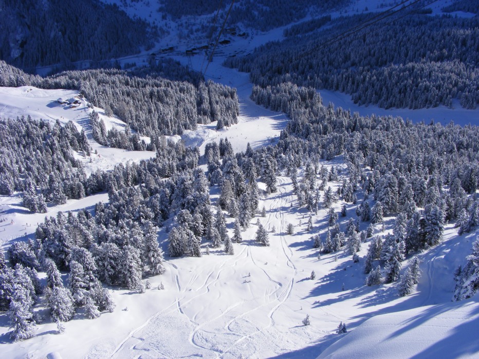 91841-helmut-55-complianno-18.11.12-012.jpg