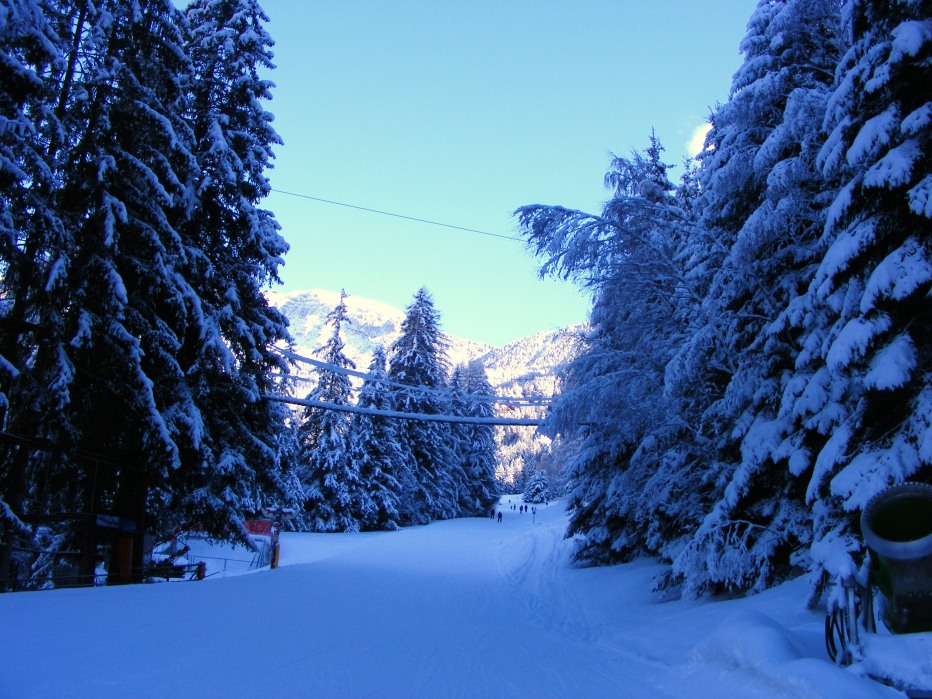91856-helmut-55-complianno-18.11.12-039.jpg